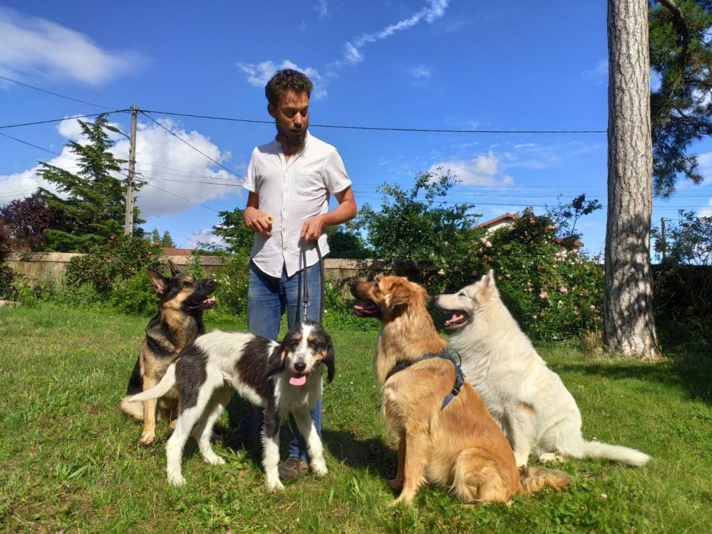 Florent Ducourtil éducateur canin en séance avec plusieurs chiens